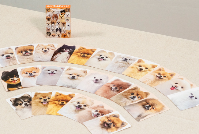 ポメあわせ25頭一覧