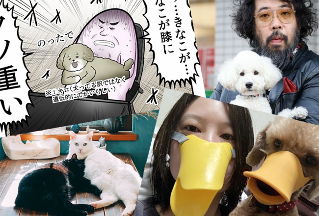 SNSで有名なわんにゃんたち